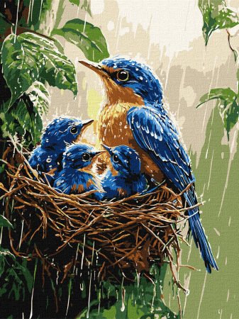 Dimensiuni medii si mici - Set pictura pe numere, cu sasiu, Ploaie de primavara, 30x40 cm