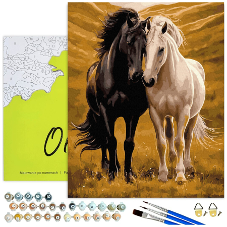 Set pictura pe numere, cu sasiu, Echilibru si gratie 1, 40x50 cm [1]