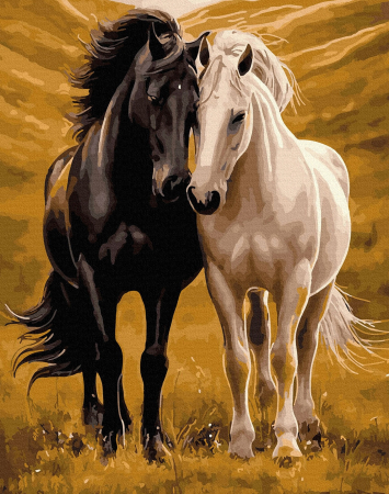 Picturi pe numere - Set pictura pe numere, cu sasiu, Echilibru si gratie 1, 40x50 cm