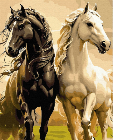 Picturi pe numere - Set pictura pe numere, cu sasiu, Echilibru si gratie 2, 40x50 cm