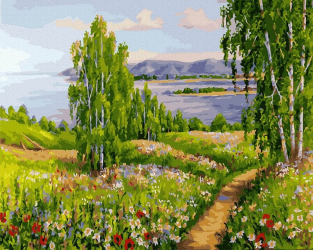 Picturi pe numere - Set pictura pe numere, cu sasiu, Camp cu flori salbatice, 40x50 cm