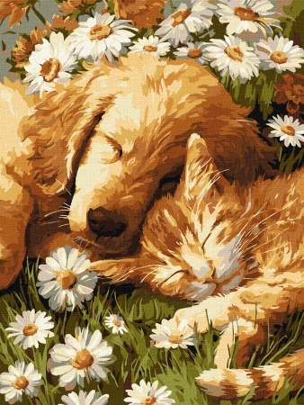 Picturi pe numere - Set pictura pe numere, cu sasiu, Petale si loialitate, 30x40 cm