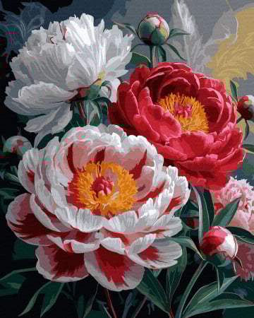 Picturi pe numere - Set pictura pe numere, cu sasiu, Bujori infloriti, 40x50 cm