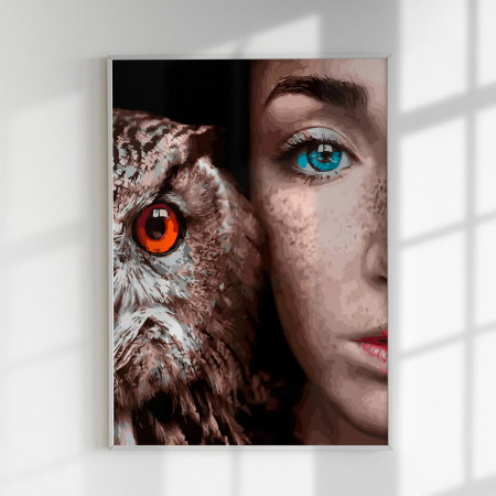 Set pictura pe numere, cu sasiu, Fata si bufnita, 40x50 cm [1]