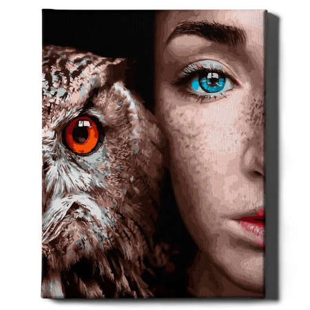 Dimensiune clasica 40x50cm - Set pictura pe numere, cu sasiu, Fata si bufnita, 40x50 cm
