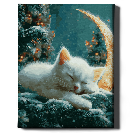 Set pictura pe numere, cu sasiu, Pisica si luna, 40x50 cm [1]