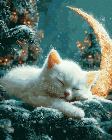 Picturi pe numere - Set pictura pe numere, cu sasiu, Pisica si luna, 40x50 cm