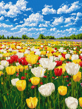 Picturi pe numere dimensiuni mici și medii – ușor de realizat, perfecte pentru orice spațiu - Set pictura pe numere, cu sasiu, Camp de lalele, 30x40 cm