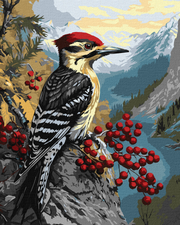 Dimensiune clasica 40x50cm - Set pictura pe numere, cu sasiu, Ciocanitoare pe ramura de calin, 40x50 cm