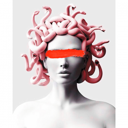 Pictura pe Numere, cu sasiu, Gorgona, 40x50 cm [0]