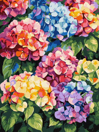 Picturi pe numere dimensiuni mici și medii – ușor de realizat, perfecte pentru orice spațiu - Set pictura pe numere, cu sasiu, Hortensii colorate, 30x40 cm