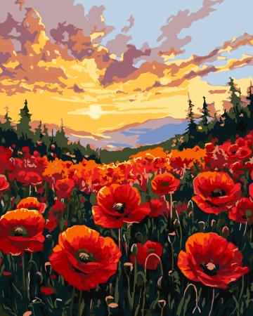 Picturi pe numere - Set pictura pe numere, cu sasiu, Camp de maci, 40x50 cm