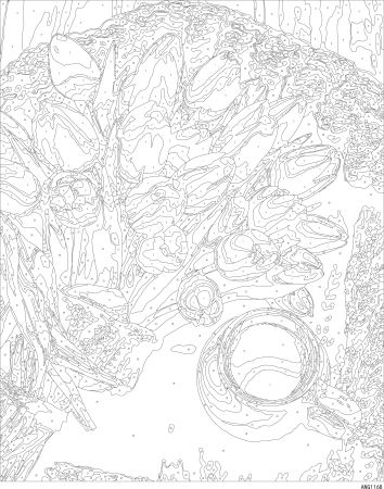 Set pictura pe numere, cu sasiu, Lalele albe, 40x50 cm [3]