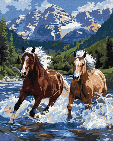 Picturi pe numere - Set pictura pe numere, cu sasiu, Putere in miscare, 40x50 cm