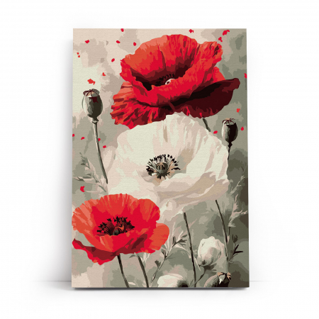 Set pictura pe numere, cu sasiu, Maci, 20x30 cm [1]