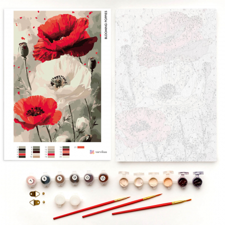 Set pictura pe numere, cu sasiu, Maci, 20x30 cm [2]