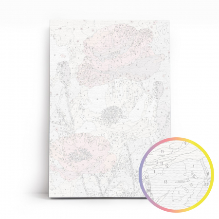 Set pictura pe numere, cu sasiu, Maci, 20x30 cm [3]