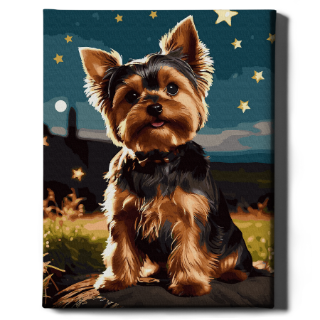 Set pictura pe numere, cu sasiu, Yorkshire Terrier, 40x50 cm [1]