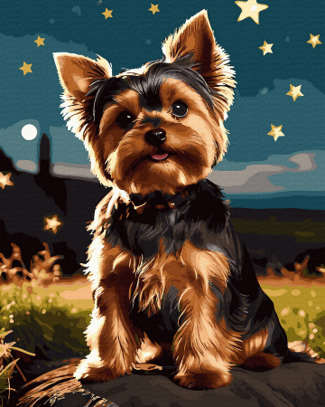 Picturi pe numere 40x50 cm – modele variate pentru toate gusturile - Set pictura pe numere, cu sasiu, Yorkshire Terrier, 40x50 cm