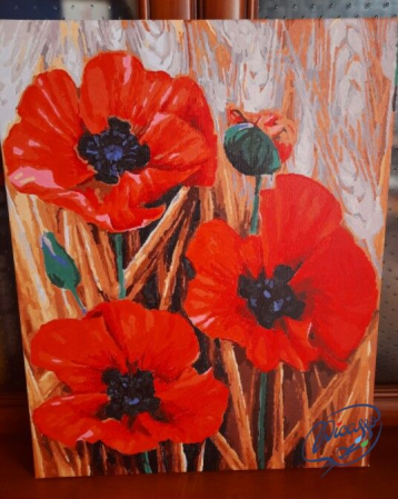 Set pictura pe numere, cu sasiu, Maci, 40x50 cm [1]