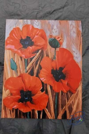 Set pictura pe numere, cu sasiu, Maci, 40x50 cm [3]