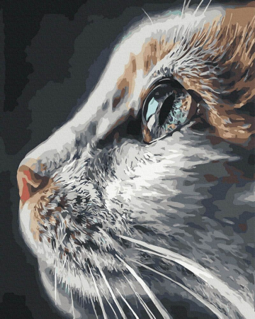 Picturi pe numere - Set pictura pe numere, cu sasiu, Cuceritorul, 40x50 cm