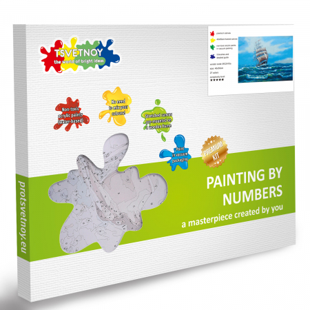 Set pictura pe numere, cu sasiu, Panze Albe [4]