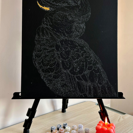 Set pictura pe numere, cu sasiu, Papagal alb auriu - canvas negru, 40x50 cm [4]