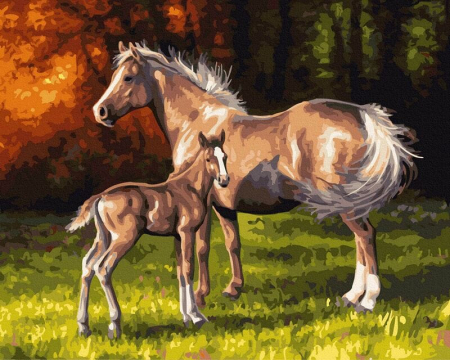 Dimensiune clasica 40x50cm - Set pictura pe numere, cu sasiu, Liberi si frumosi, 40x50 cm