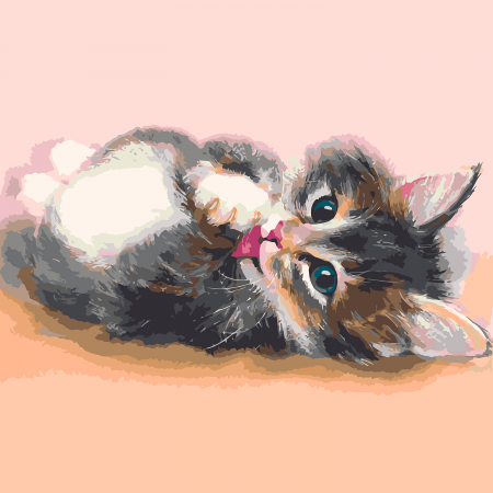 Pictura pe numere, cu sasiu, Cute kitten, 40x50 cm [0]