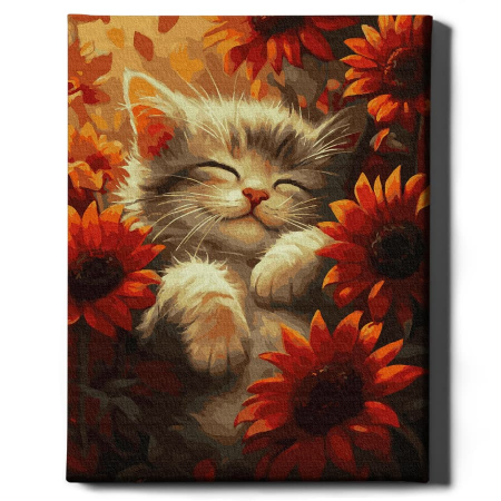 Set pictura pe numere, cu sasiu, Pisica si raza de soare, 40x50 cm [1]