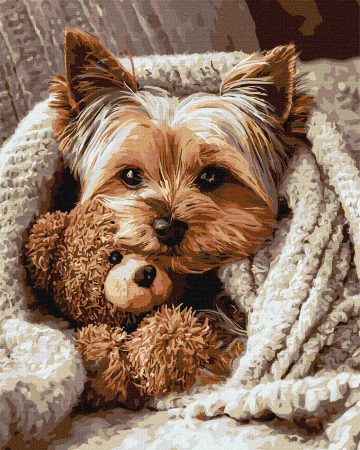 Picturi pe numere - Set pictura pe numere, cu sasiu, Yorkshire cu ursulet, 40x50 cm