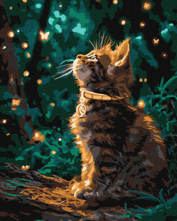 Picturi pe numere 40x50 cm – modele variate pentru toate gusturile - Set pictura pe numere, cu sasiu, Pisica si licurici, 40x50 cm