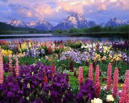Picturi pe numere 40x50 cm – modele variate pentru toate gusturile - Set pictura pe numere, cu sasiu, Lac inflorit la poalele muntelui, 40x50 cm