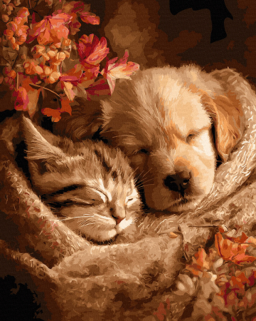 Dimensiune clasica 40x50cm - Set pictura pe numere, cu sasiu, Pisoi si catelus, 40x50 cm