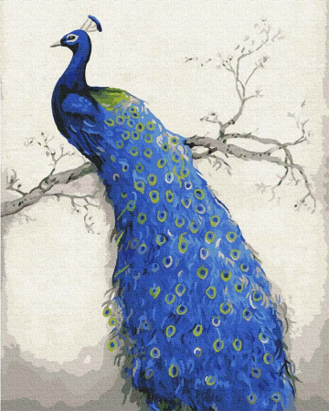Picturi pe numere - Set pictura pe numere, cu sasiu, Paun, 40x50 cm
