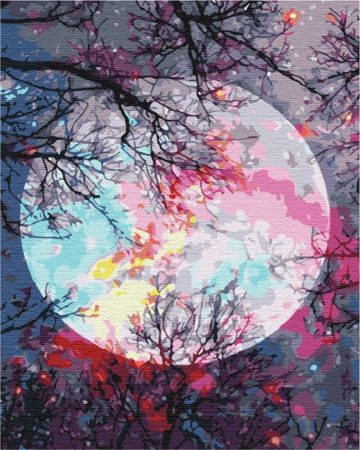 Set pictura pe numere, cu sasiu, Privind la luna, 40x50 cm [0]
