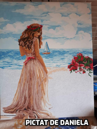 Set pictura pe numere, cu sasiu, Rataciri Indepartate 40x50 cm [2]