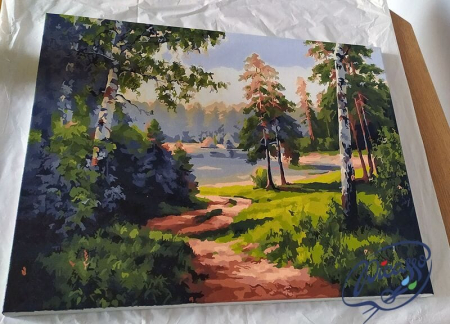 Set pictura pe numere, cu sasiu, Carare in padure, 40x50 cm [3]