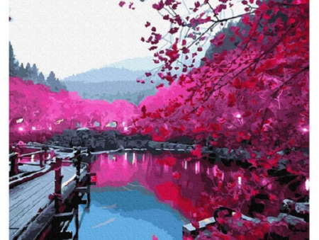 Set pictura pe numere, cu sasiu, Sakura, 40x50 cm [0]