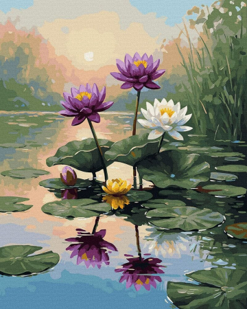 Picturi pe numere - Set pictura pe numere, cu sasiu, Soapta nuferilor, 40x50 cm