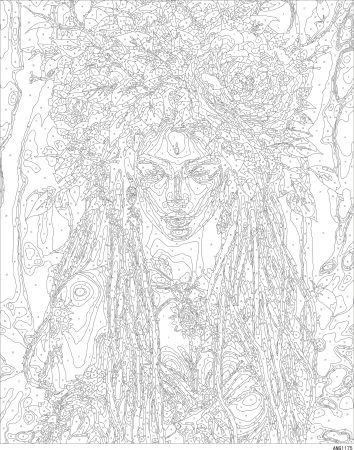 Set pictura pe numere, cu sasiu, Spiritul padurii tropicale, 40x50 cm [2]