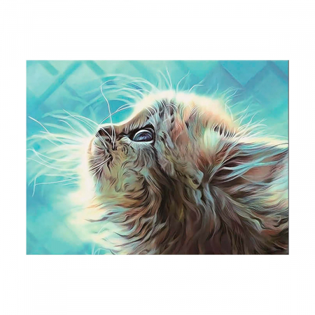 Pictura pe numere, cu sasiu, Kitten in a Dream 40x50 cm [0]