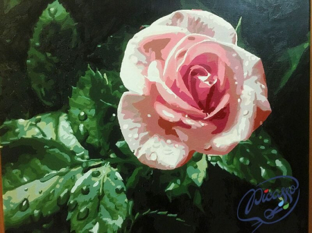 Set pictura pe numere, cu sasiu, Trandafir in ploaie, 40x50 cm [1]