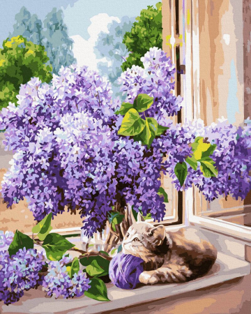 Set pictura pe numere, cu sasiu, Pisica in umbra liliacului, 40x50 cm [0]