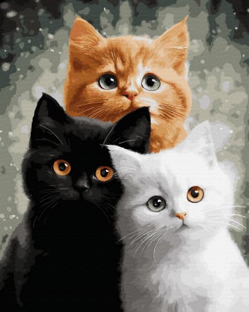 Picturi pe numere - Set pictura pe numere, cu sasiu, Trio blanos, 40x50 cm