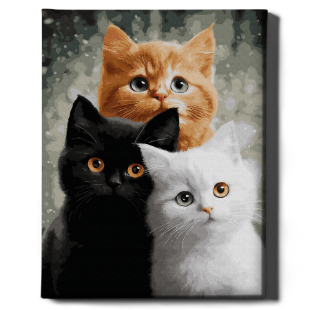 Set pictura pe numere, cu sasiu, Trio blanos, 40x50 cm [1]