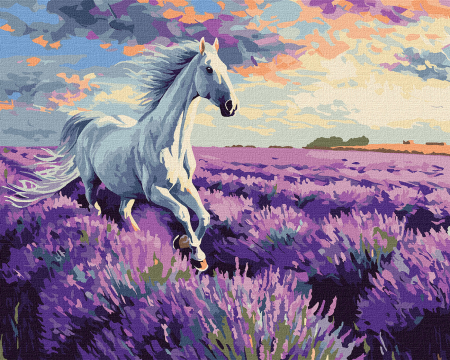 Dimensiune clasica 40x50cm - Set pictura pe numere, cu sasiu, Galop in campul de lavanda, 40x50 cm