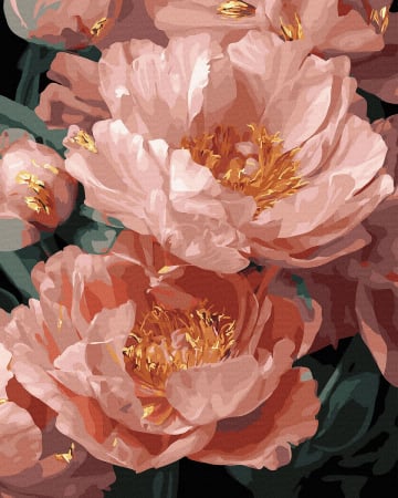 Aurii & metalizate - Set pictura pe numere, cu sasiu, Farmecul bujorilor, 40x50 cm