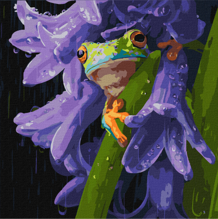 Picturi pe numere - Set pictura pe numere, cu sasiu,  Broscuta in ploaie, 40x40 cm